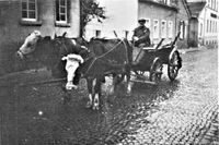 1930 - Wilhelm Georg auf der Heimfahrt vom Feld
